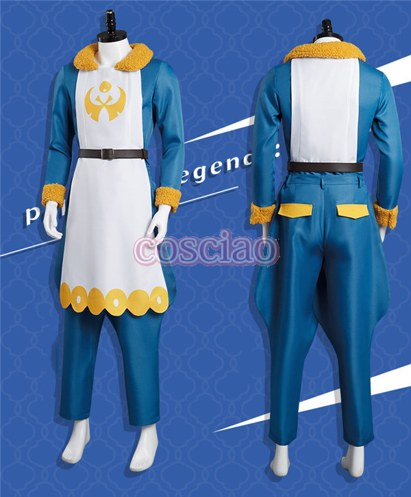Pokémon LEGENDS アルセウス コスプレ衣装
